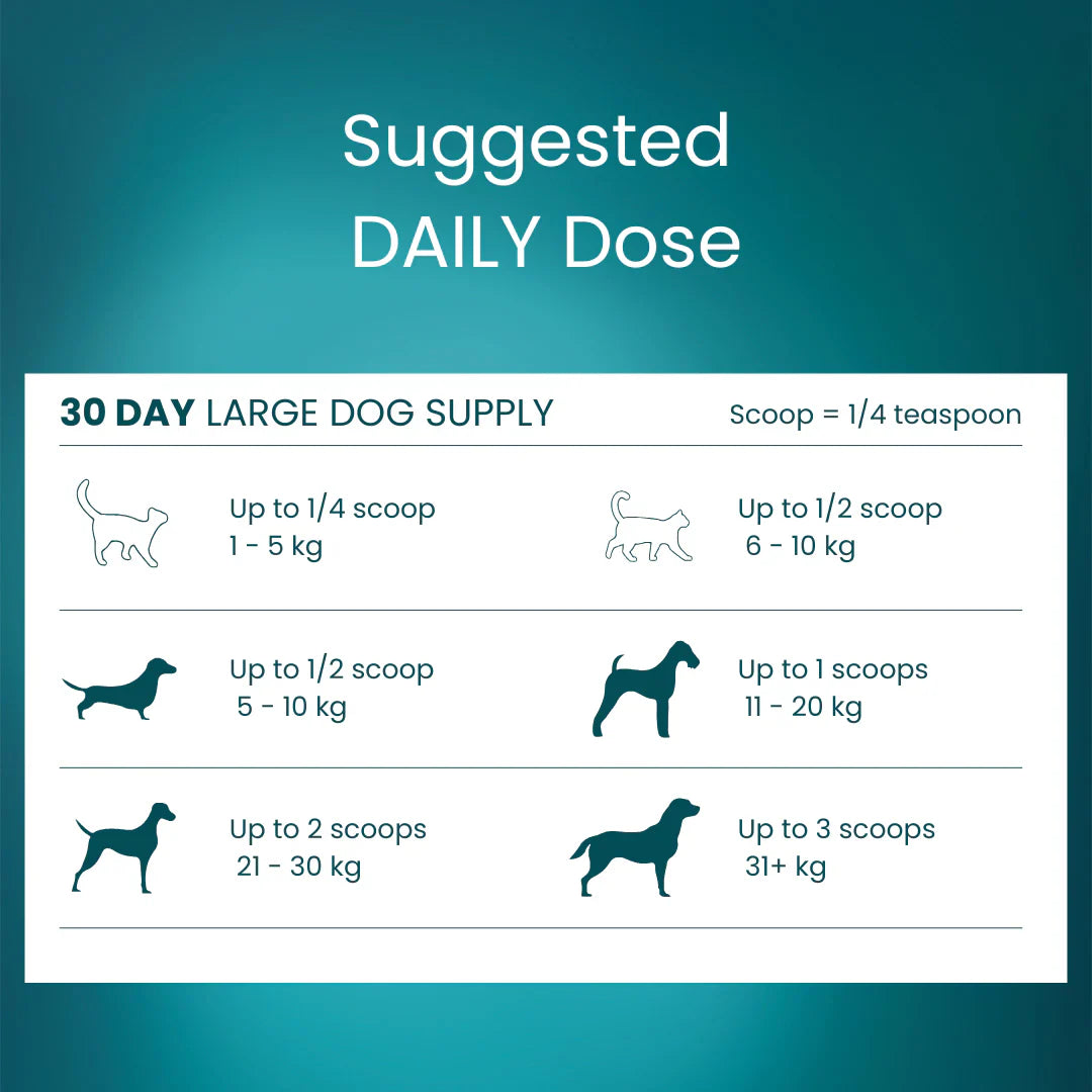 Tandem – Super Foods – New Zealand Green Lipped Mussel Powder for Cats & Dogs