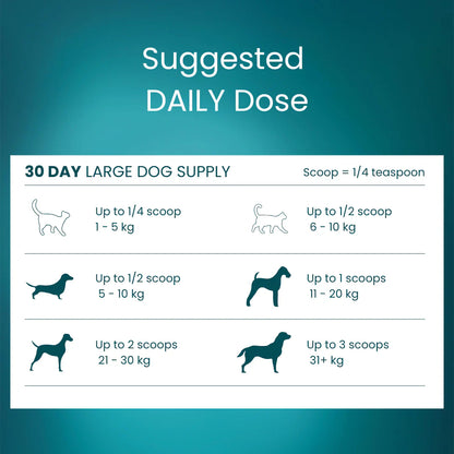 Tandem – Super Foods – New Zealand Green Lipped Mussel Powder for Cats & Dogs