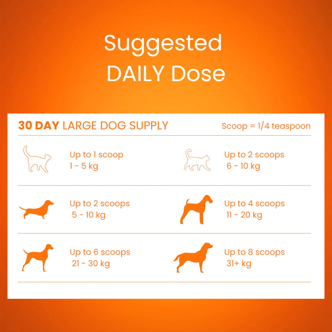 Tandem – Super Foods – New Zealand Pumpkin Powder for Cats & Dogs