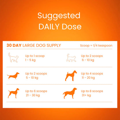 Tandem – Super Foods – New Zealand Pumpkin Powder for Cats & Dogs