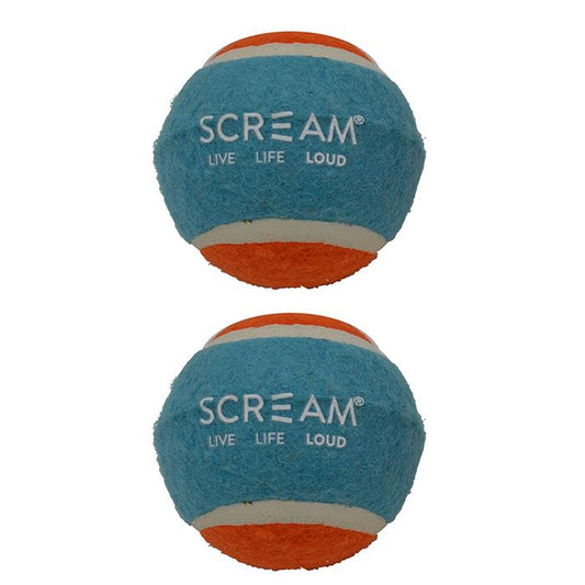 Pets Tennis Ball - 2 Pack