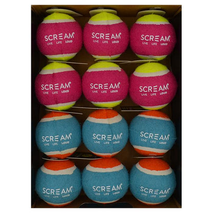 Pets Tennis Balls – Box of 12
