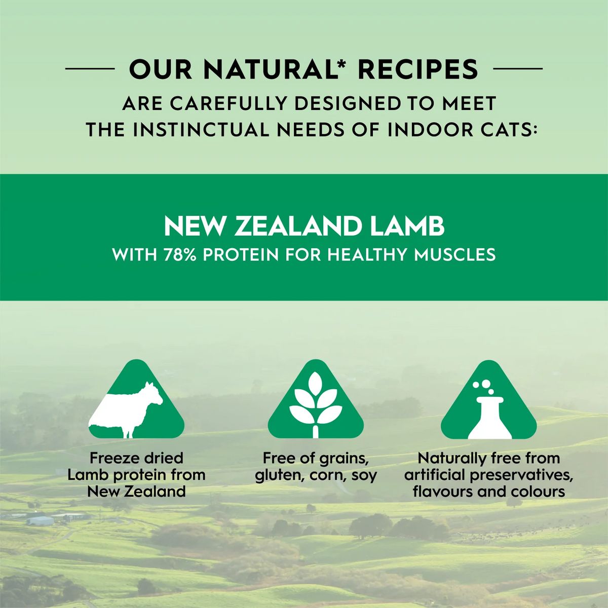 Trilogy freeze-dried lamb treats, back of pack ingredients