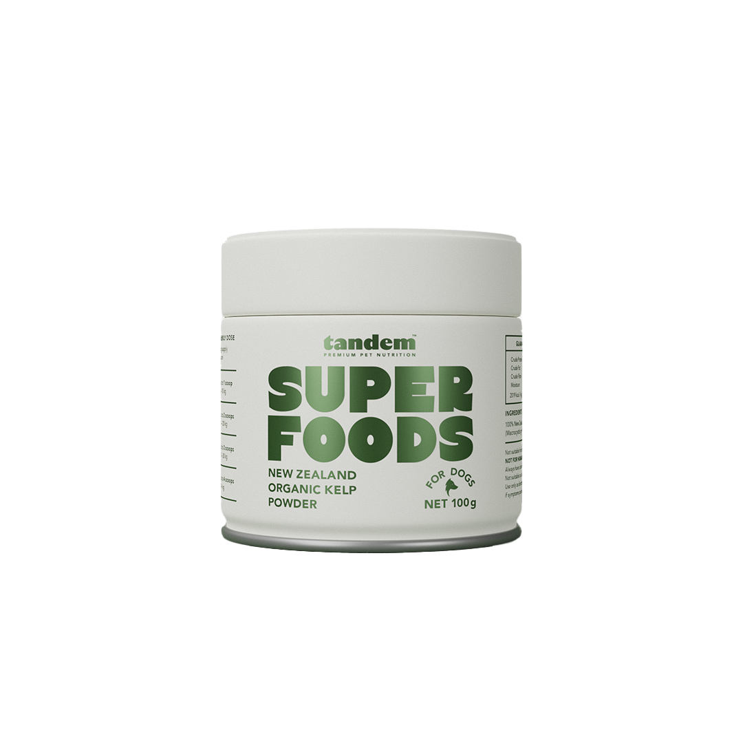Tandem - Super Foods - New Zealand Organic Kelp Powder for Cats & Dogs product image 1