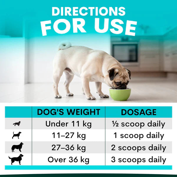 PetzPark – Urinary + Kidney – For Dogs