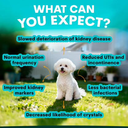PetzPark – Urinary + Kidney – For Dogs