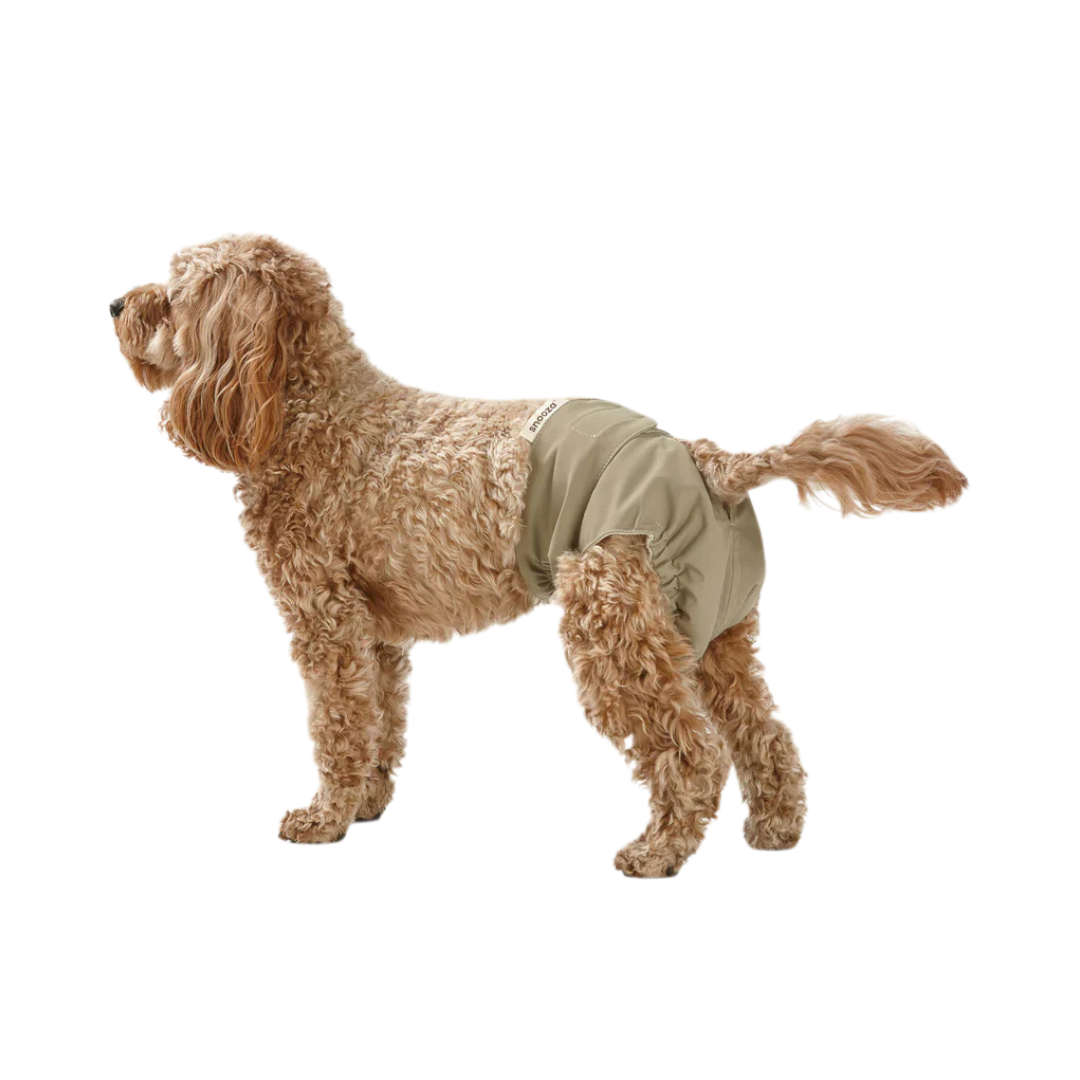 Washable Dog Nappy - Twin Pack for Female Dogs product image 1
