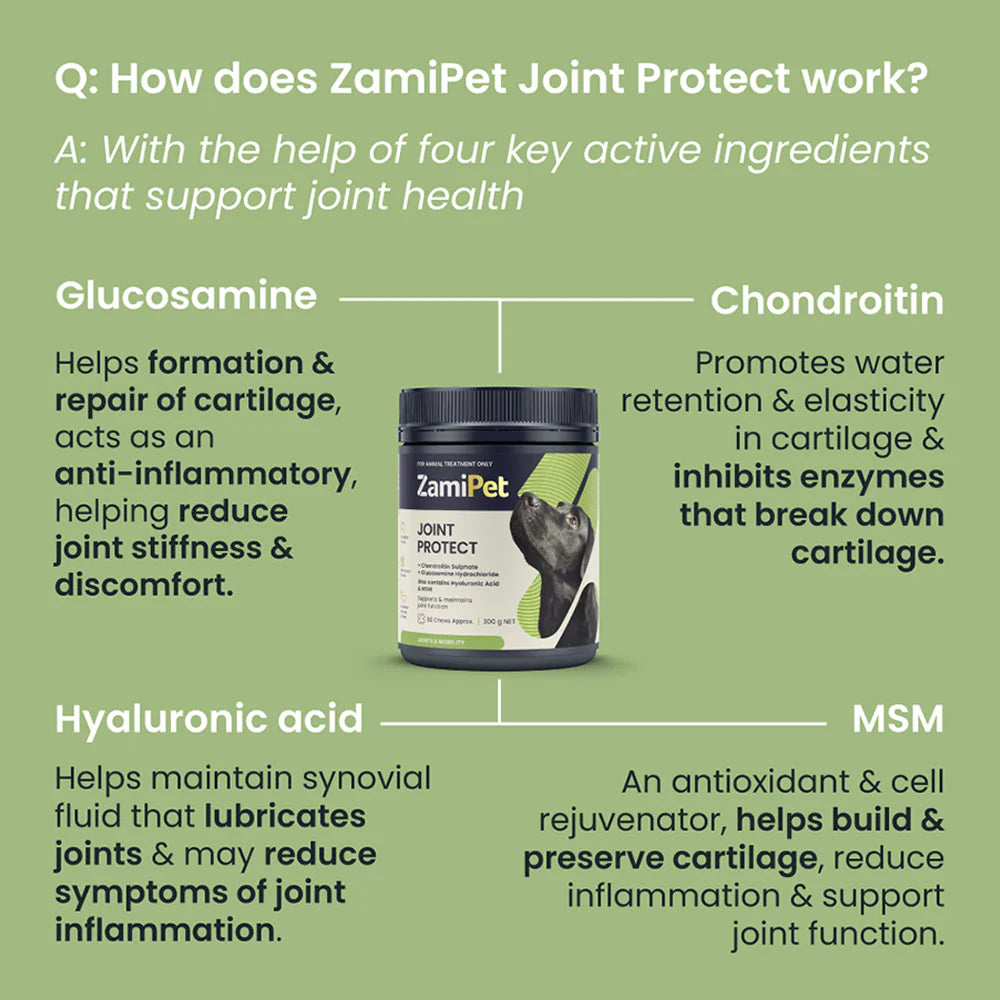 ZamiPet Joint Protect glucosamine chews for dogs (6 of 9)