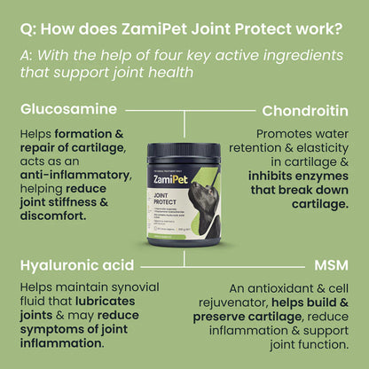 ZamiPet Joint Protect glucosamine chews for dogs (6 of 9)