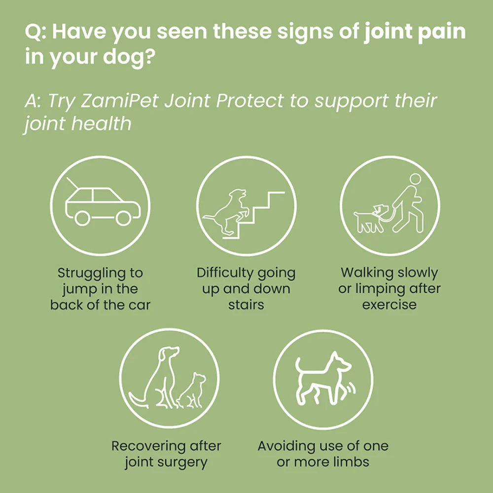 ZamiPet Joint Protect glucosamine chews for dogs (8 of 9)