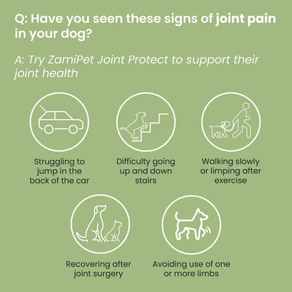 ZamiPet Joint Protect glucosamine chews for dogs (8 of 9)