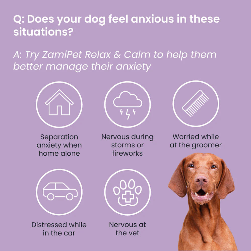 ZamiPet Relax & Calm calming chews for dogs (8 of 8)