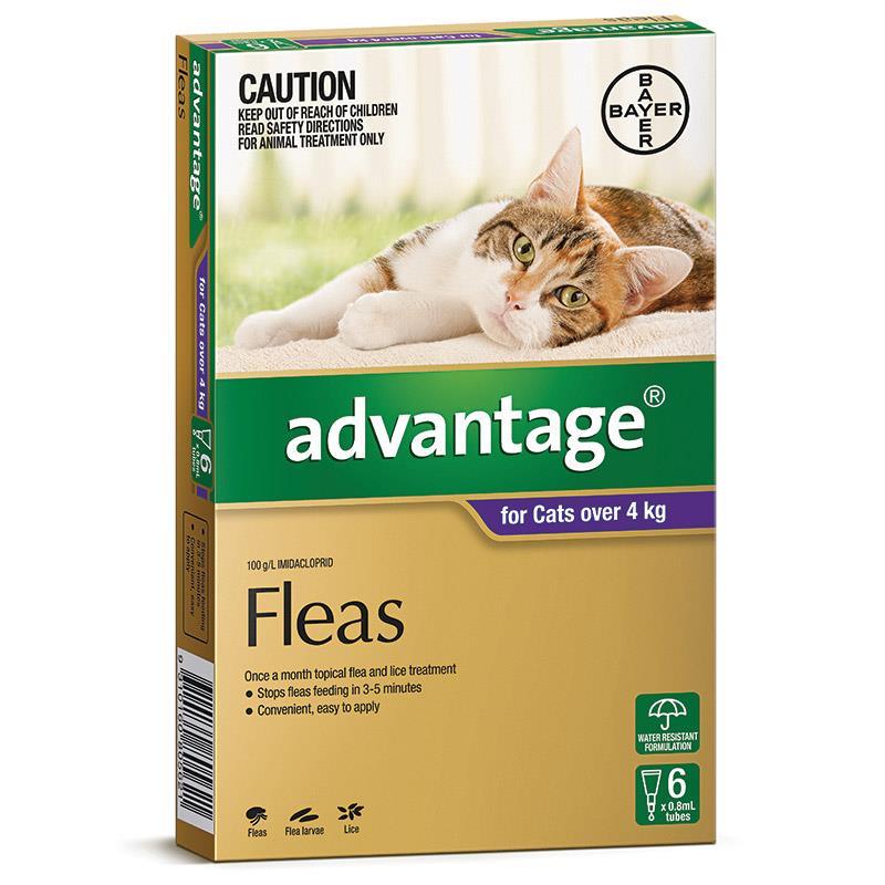 Advantage – Fleas – Advantage for Cats