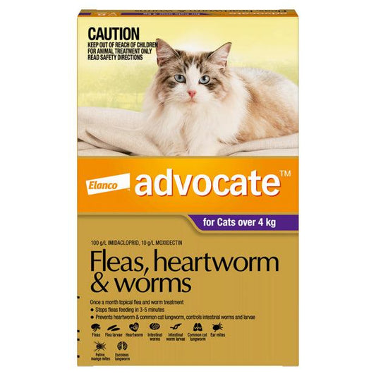 Advocate Cat - Advocate Treatment for Cats