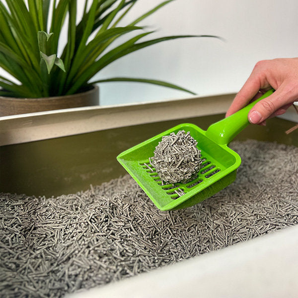 PooWee! Tofu Litter clumping demonstration
