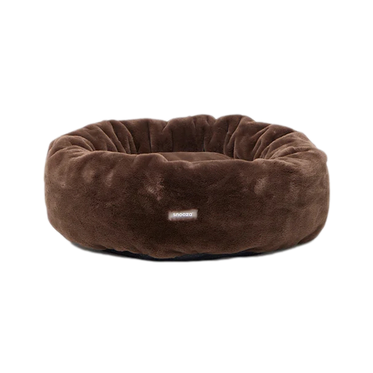 bed_clipped_rev_1