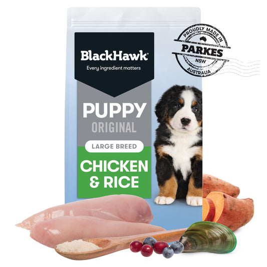 Black Hawk Puppy Large Breed – Chicken and Rice