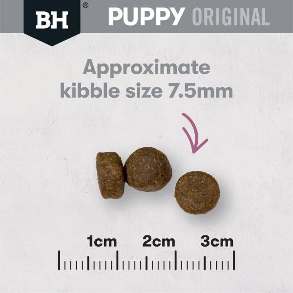 Black Hawk Puppy Small Breed