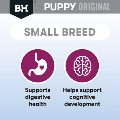 Black Hawk Puppy Small Breed