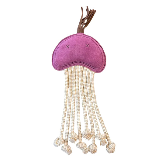Georgie Paws – Joe Jellyfish