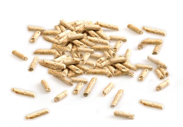 Close-up of Cat's Best Smart Pellets wood-fibre litter pellets