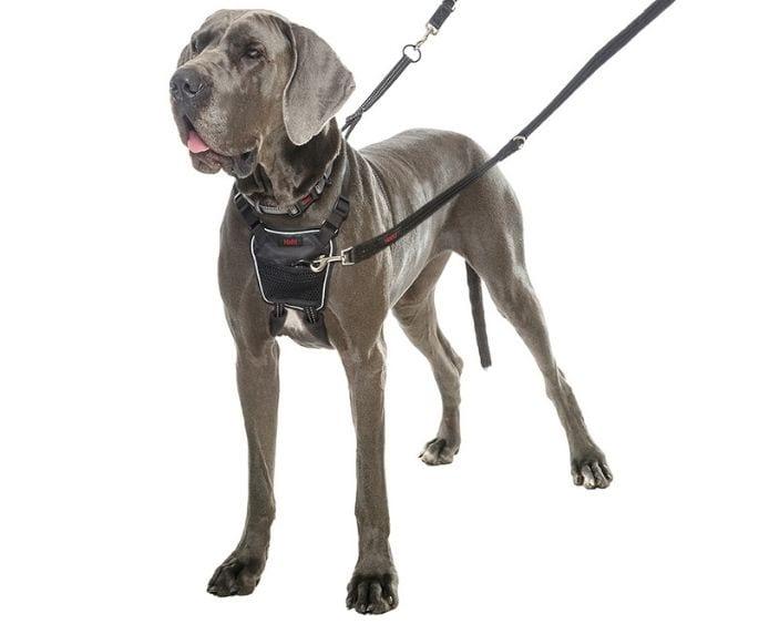 Halti Dog Harness – Halti No Pull Harness