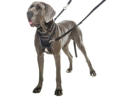 Halti Dog Harness – Halti No Pull Harness