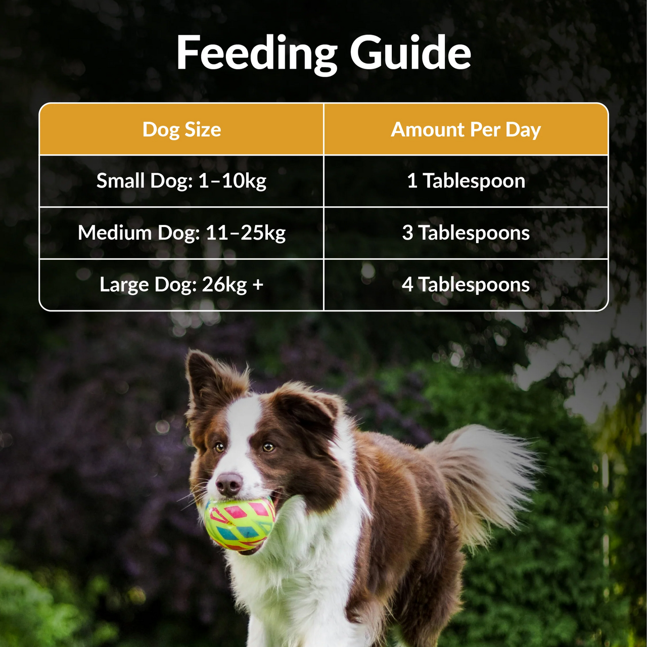 feedingguide