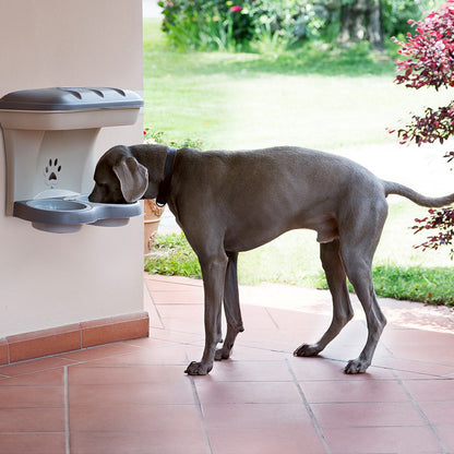 Bama Pet Food Stand taupe dimensions and storage tray
