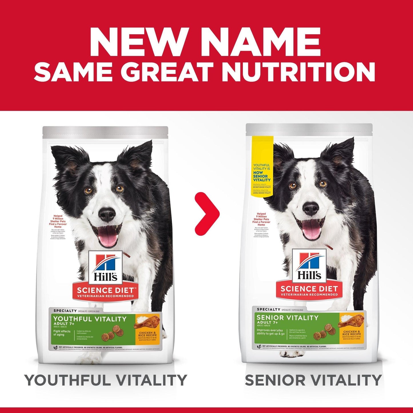 Hill's – Science Diet – Adult Dog (7+) – Senior Vitality