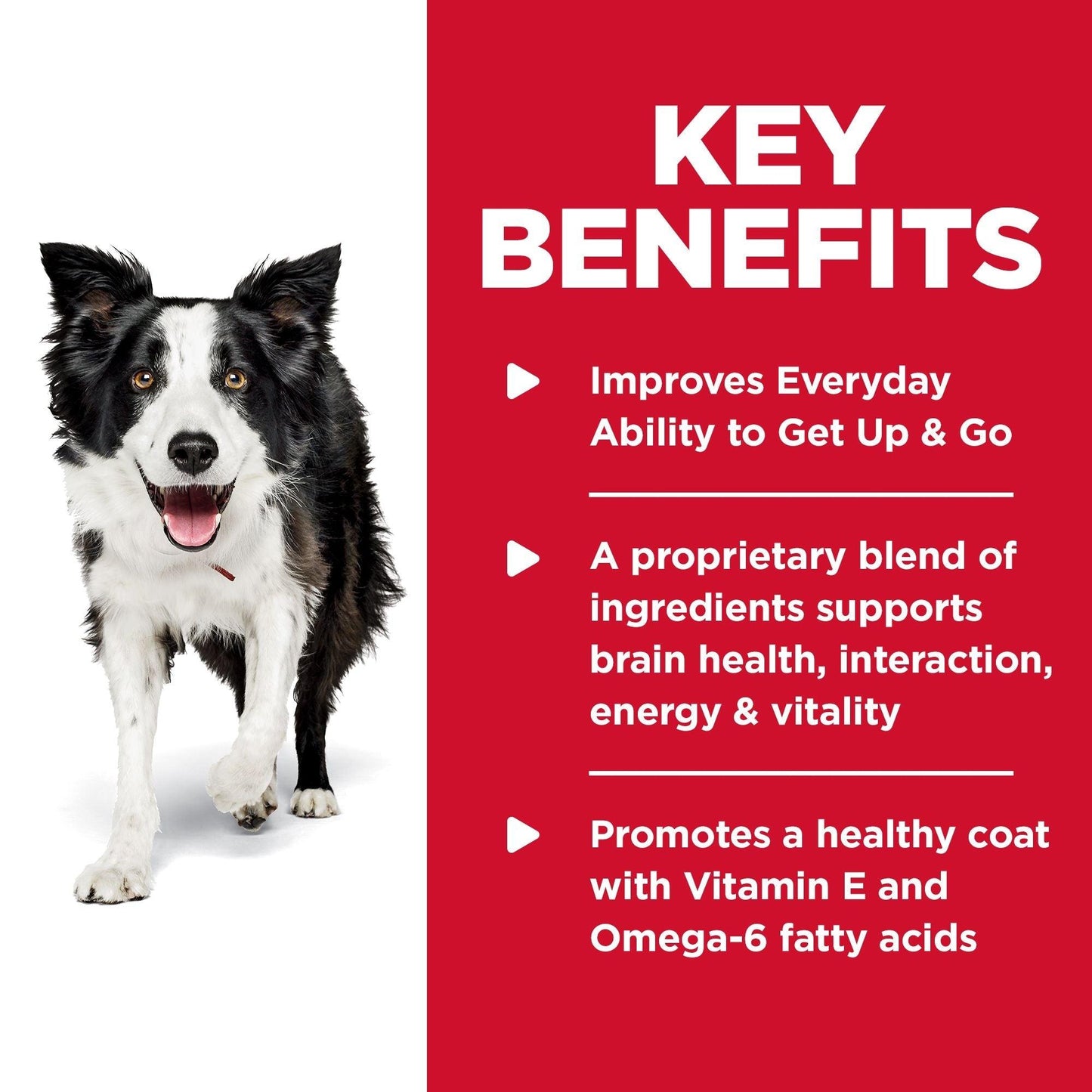 Hill's – Science Diet – Adult Dog (7+) – Senior Vitality