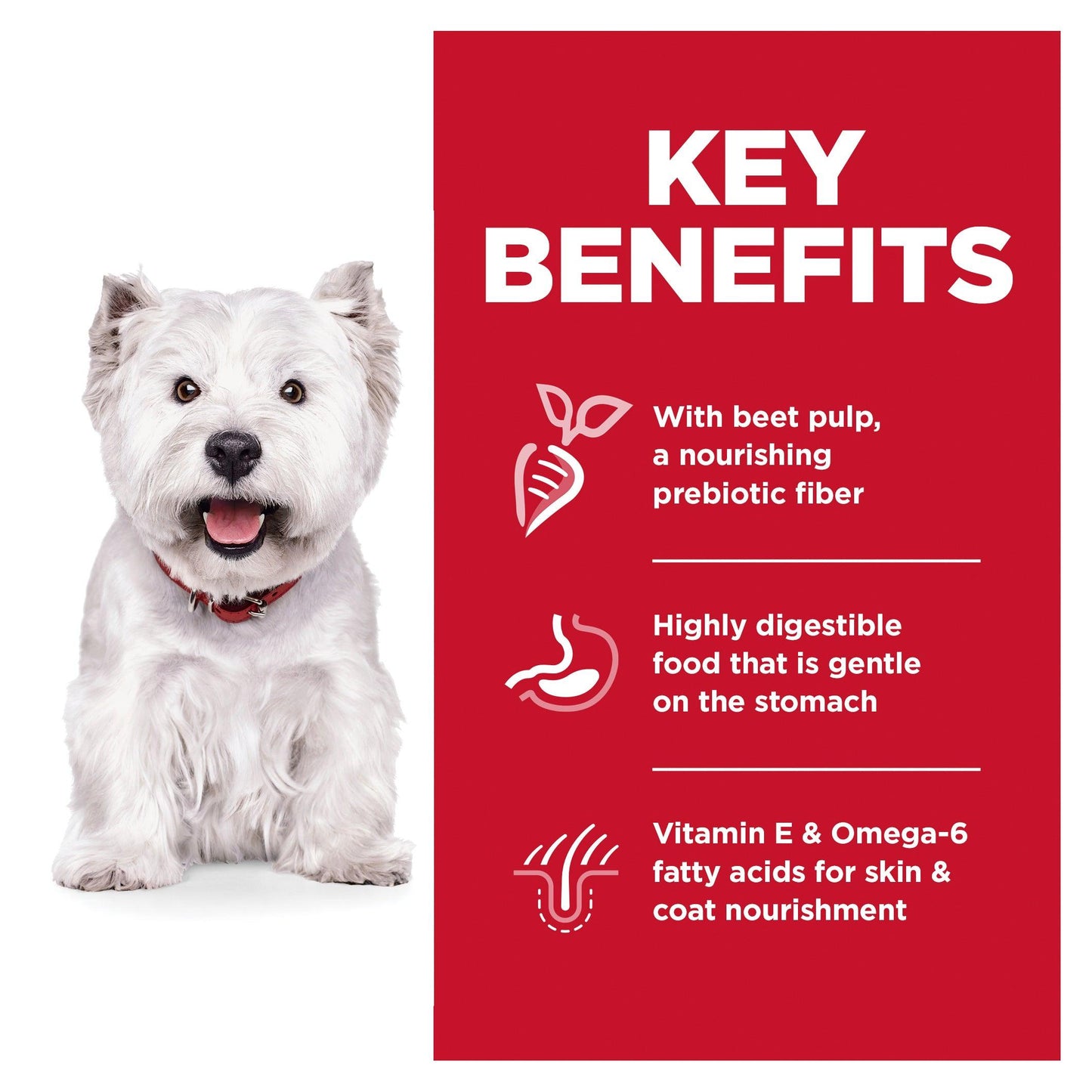 Hill's – Science Diet – Adult Dog – Sensitive Stomach & Skin – Small Bites