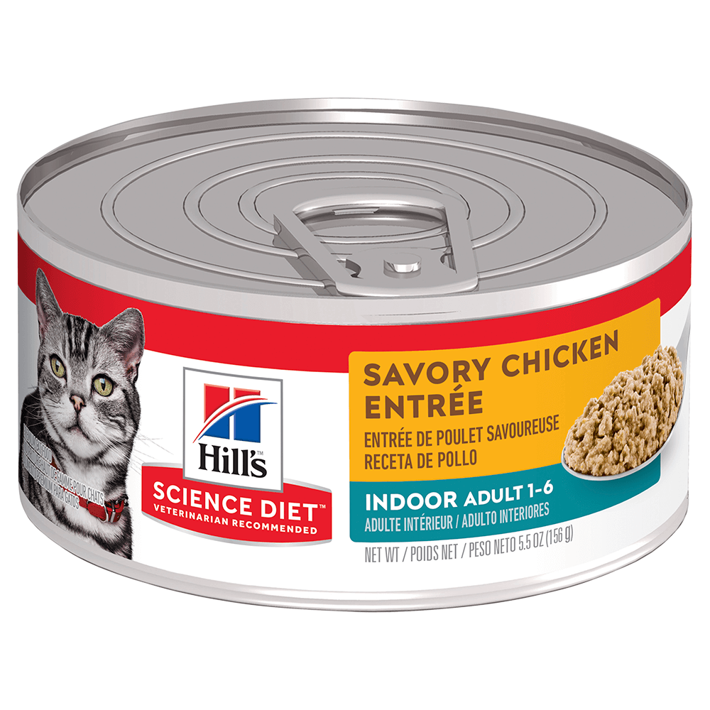 Hill's Science Diet Adult Indoor Savory Chicken Entree canned cat food front