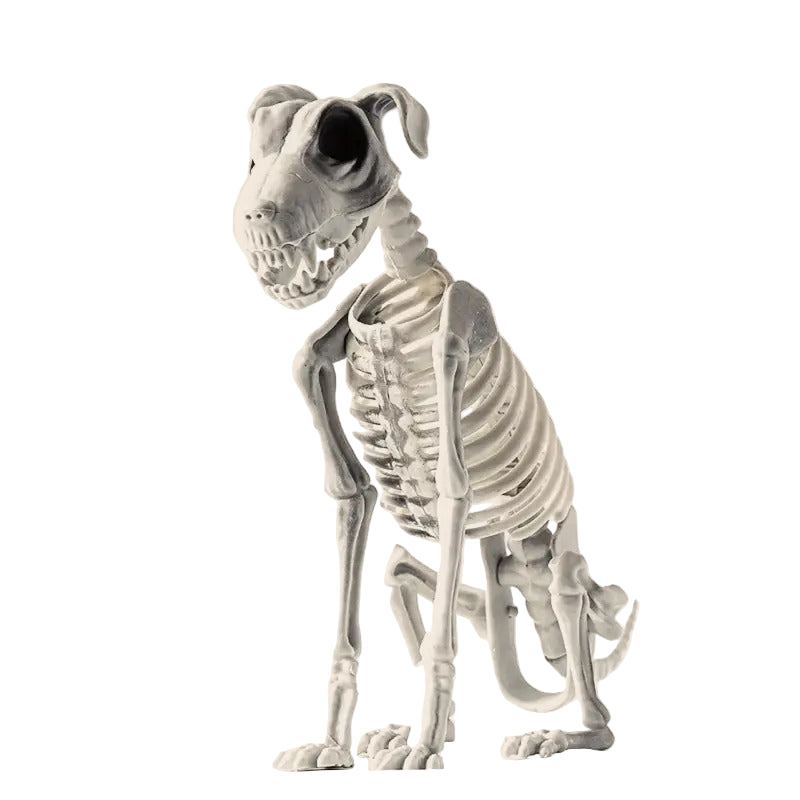 Halloween Dog Skeleton Decoration-0
