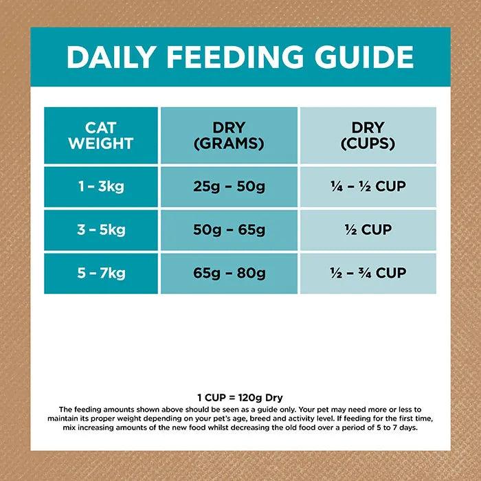 Ivory Coat – Adult Cat – GRAIN FREE – Ocean Fish & Salmon