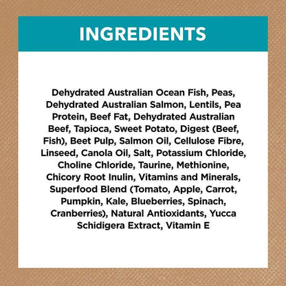 Ivory Coat – Adult Cat – GRAIN FREE – Ocean Fish & Salmon
