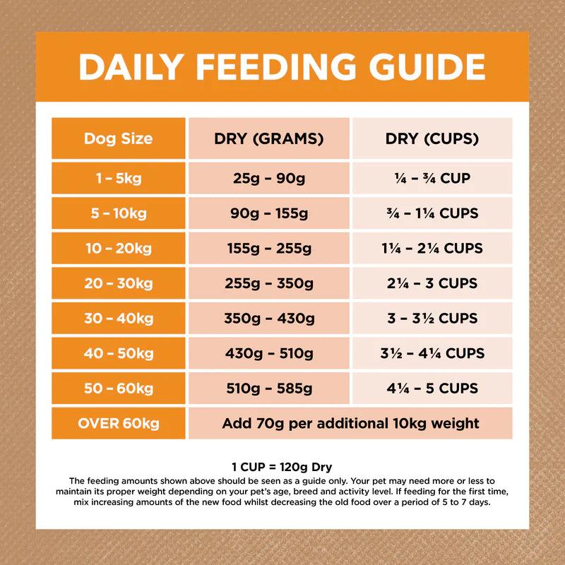 Ivory Coat – Adult Dog – GRAIN FREE – Chicken
