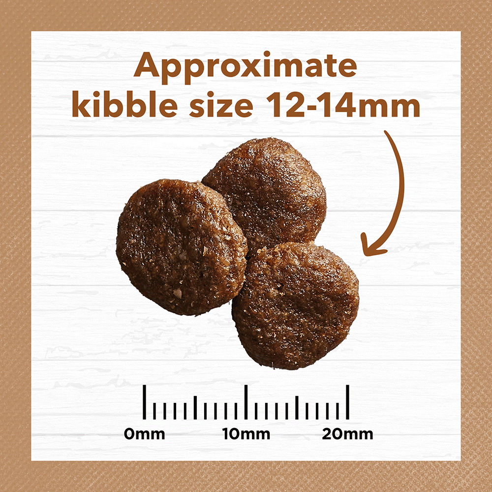 Adult Dog Food– Lamb & Kangaroo - GRAIN FREE