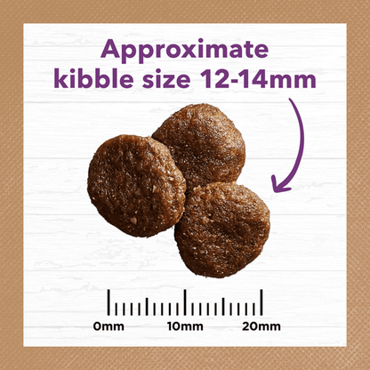 Mature Dog Food – Turkey – GRAIN FREE
