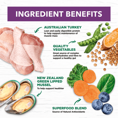 Mature Dog Food – Turkey – GRAIN FREE