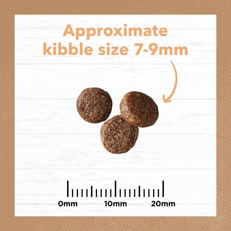 Ivory Coat – Kitten – GRAIN FREE – Chicken - 2kg