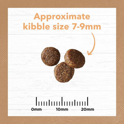 Ivory Coat – Kitten – GRAIN FREE – Chicken - 2kg