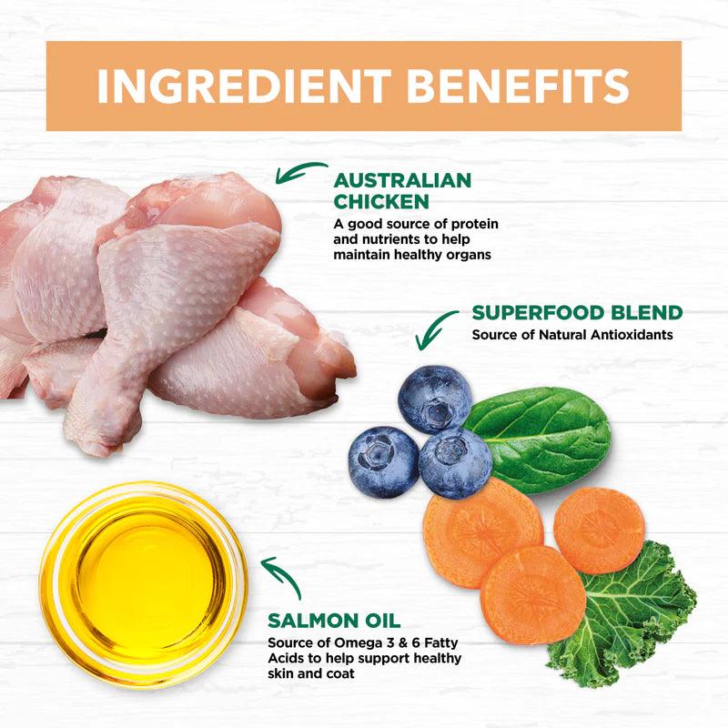 Ivory Coat – Kitten – GRAIN FREE – Chicken - 2kg