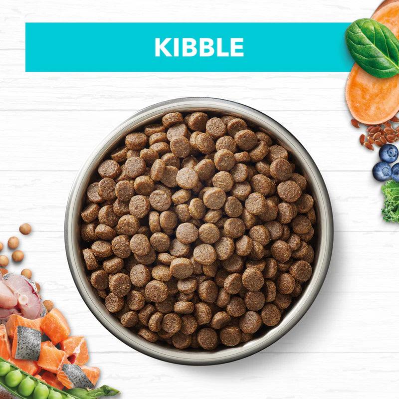 Ivory Coat – Kitten – GRAIN FREE – Ocean Fish & Salmon - 2kg