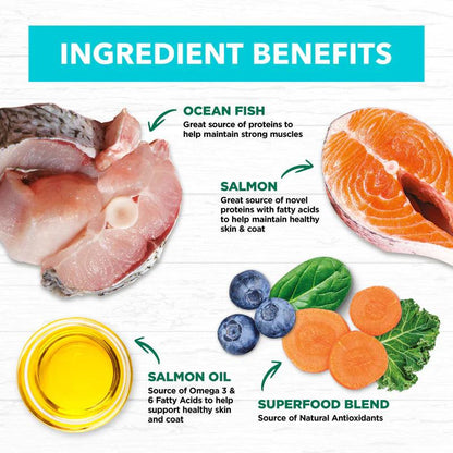 Ivory Coat – Kitten – GRAIN FREE – Ocean Fish & Salmon - 2kg