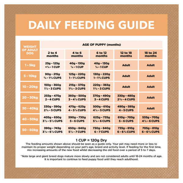 Ivory Coat – Puppy – GRAIN FREE – Chicken