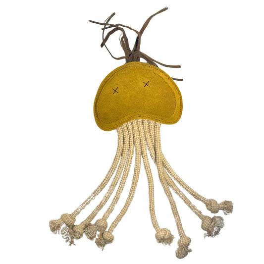 Georgie Paws – Joe Jellyfish