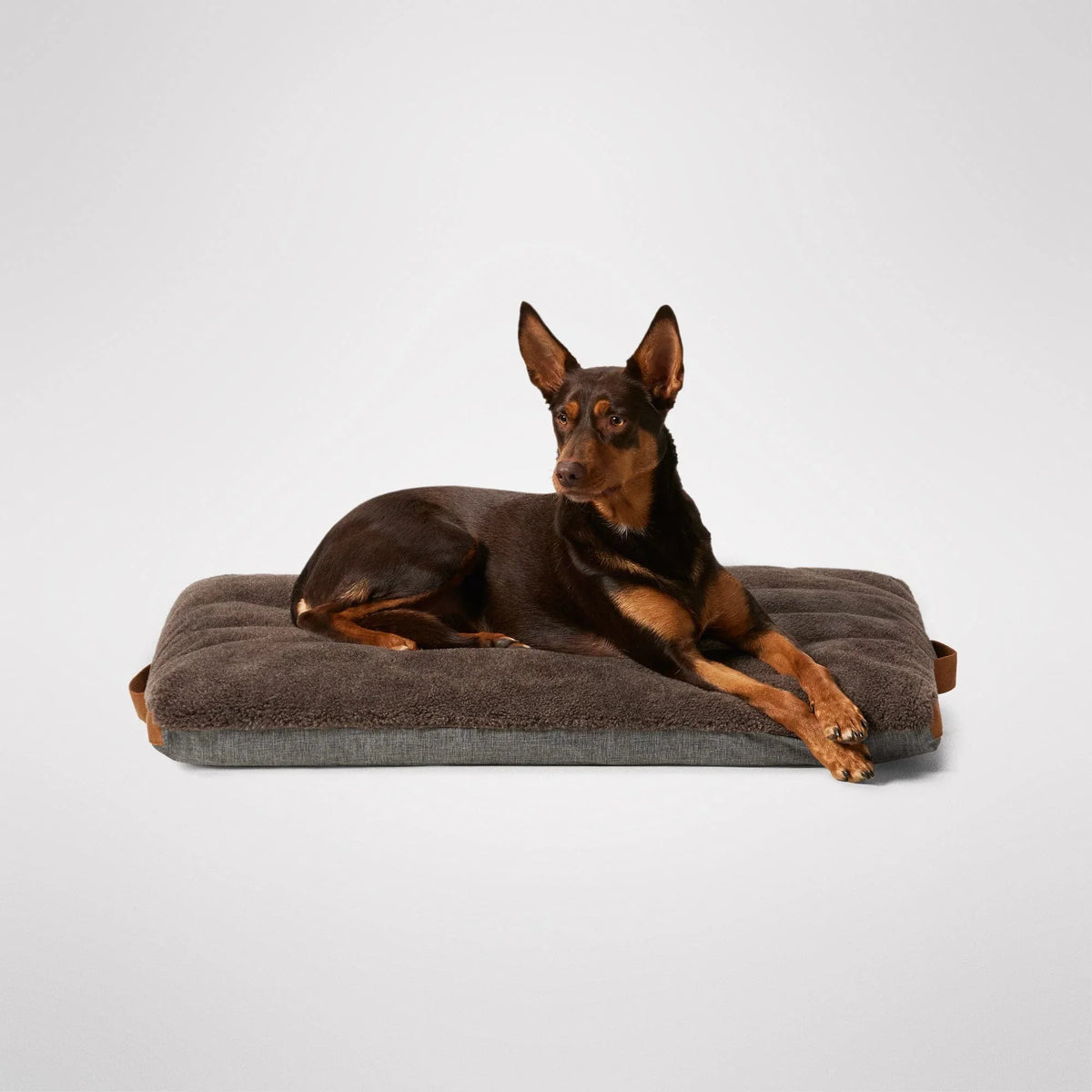 MiniJumbuk Jumbuk Swag dog mattress in Mocha, wool fleece side facing up