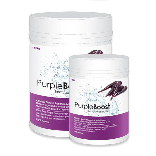 LifeWise – Purple Boost – Immuno-Stimulant