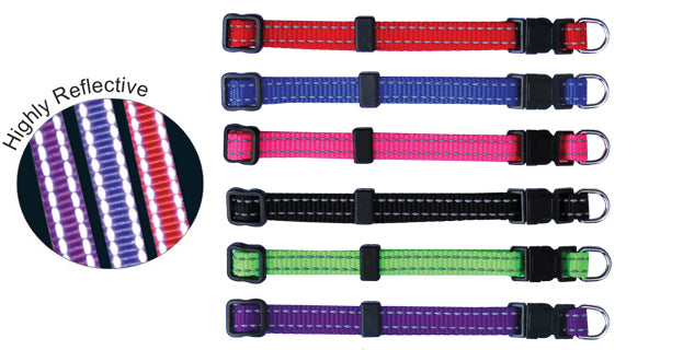 Beau Pets reflective thread adjustable puppy collar, close-up of stitching